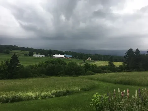 199 Hardwick Farms Road Hardwick VT 05836-9763
