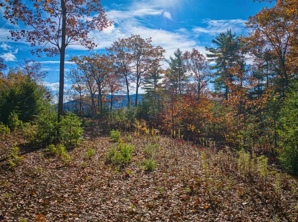 30 Greystone Lane Newbury NH 03255