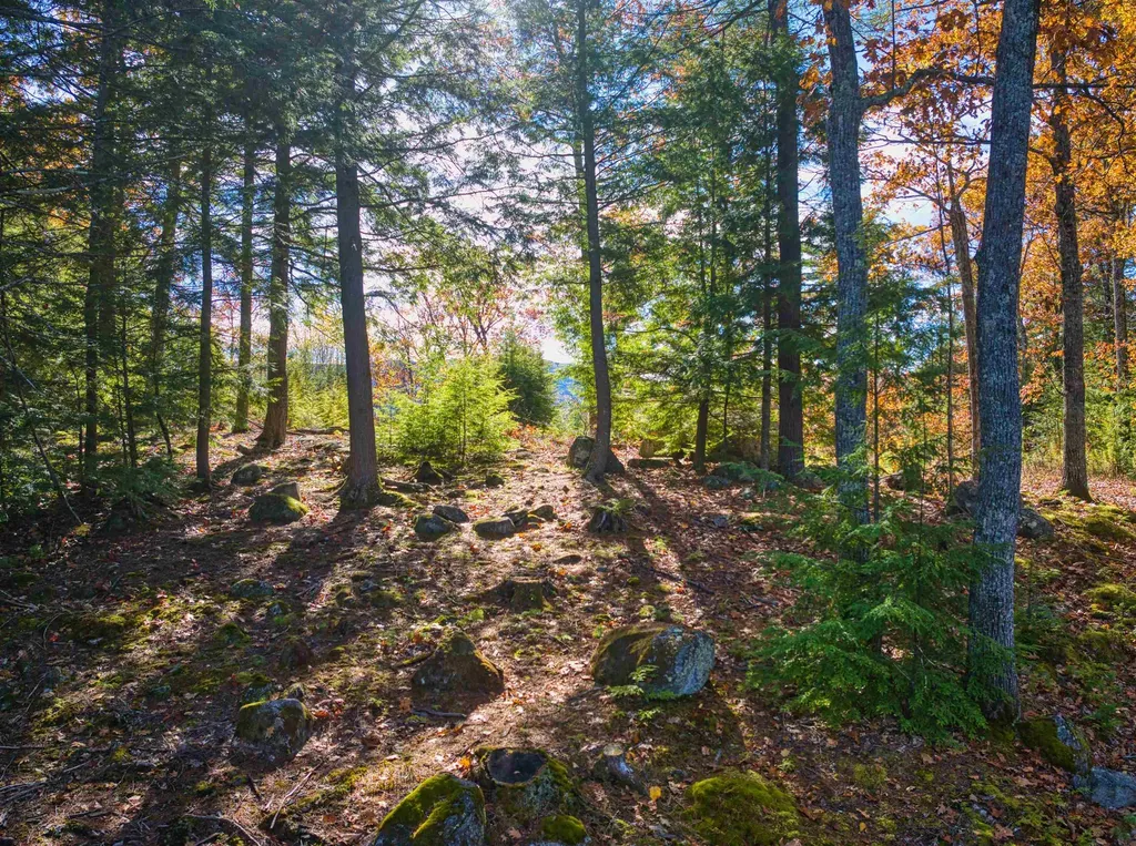 30 Greystone Lane Newbury NH 03255