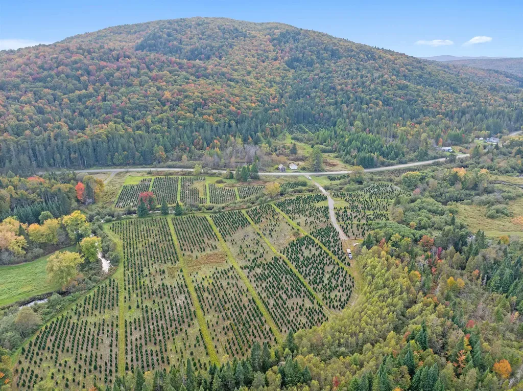 92 Bishop Brook Road Stewartstown NH 03576