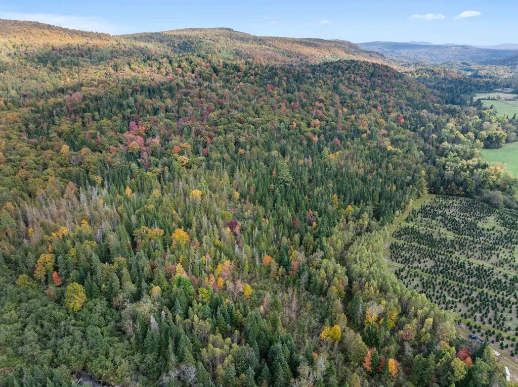 92 Bishop Brook Road Stewartstown NH 03576