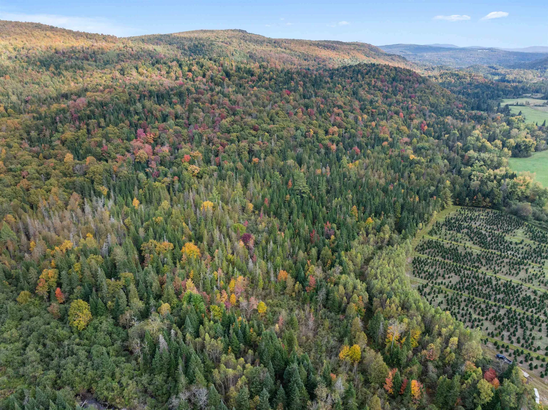 92 Bishop Brook Road Stewartstown NH 03576