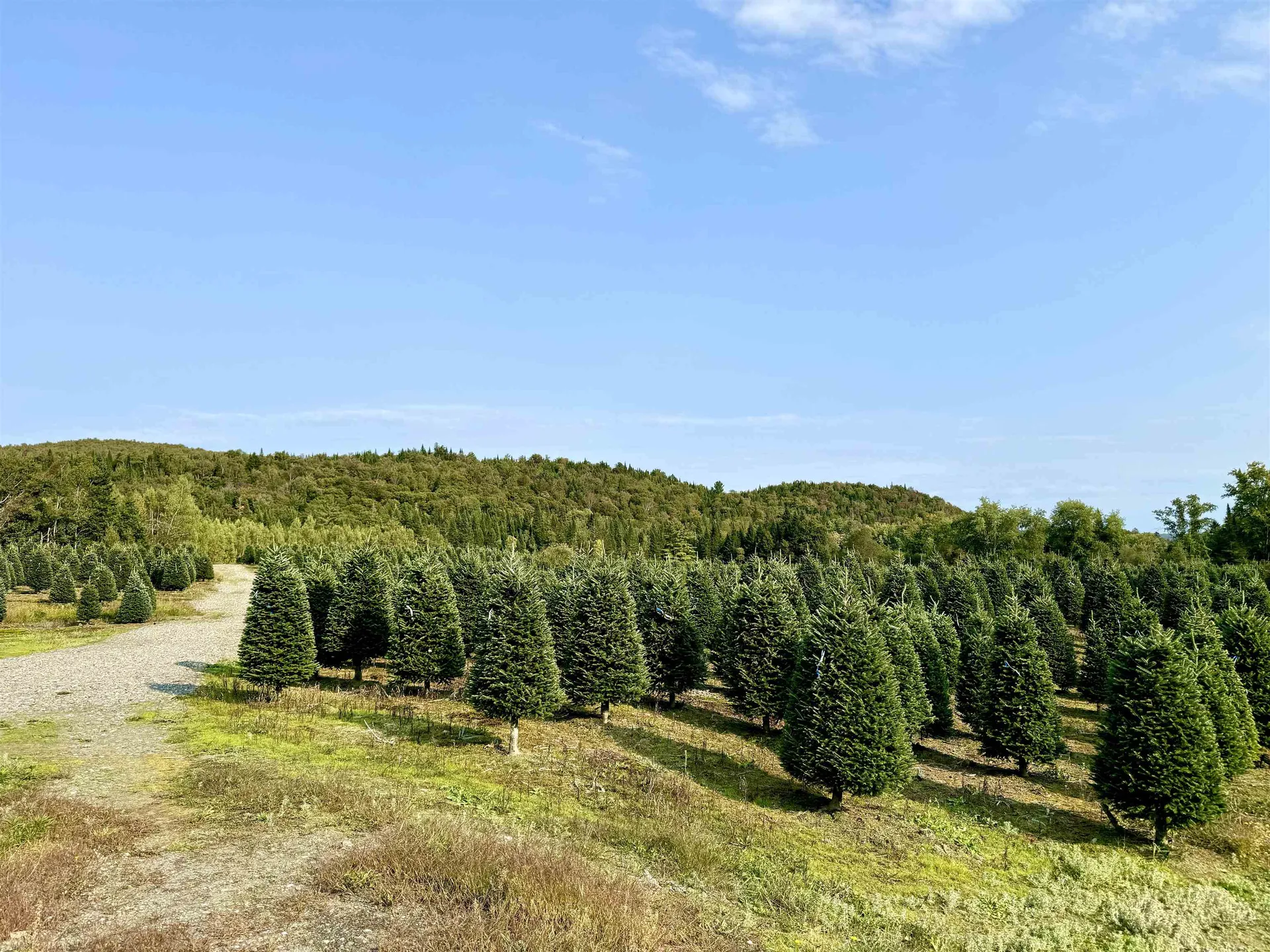 92 Bishop Brook Road Stewartstown NH 03576