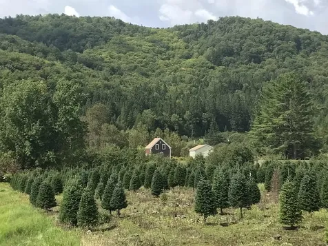 92 Bishop Brook Road Stewartstown NH 03576