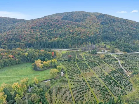 92 Bishop Brook Road Stewartstown NH 03576