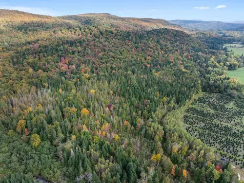 92 Bishop Brook Road Stewartstown NH 03576