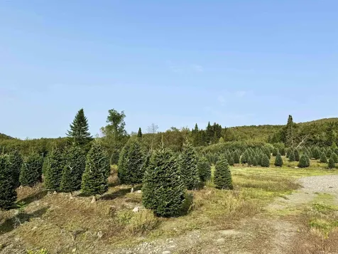 92 Bishop Brook Road Stewartstown NH 03576