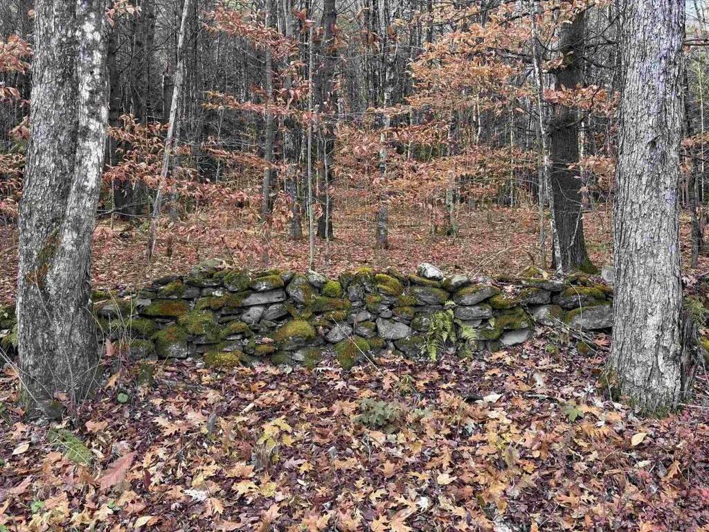 00 East Putney Brook Road Putney VT 05346