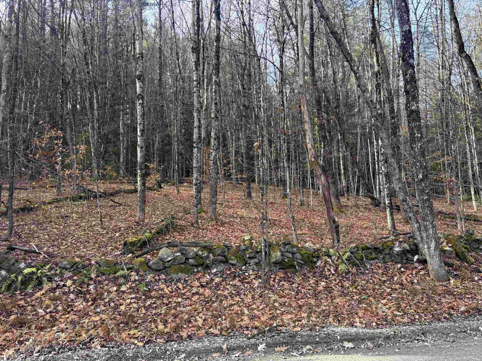 00 East Putney Brook Road Putney VT 05346