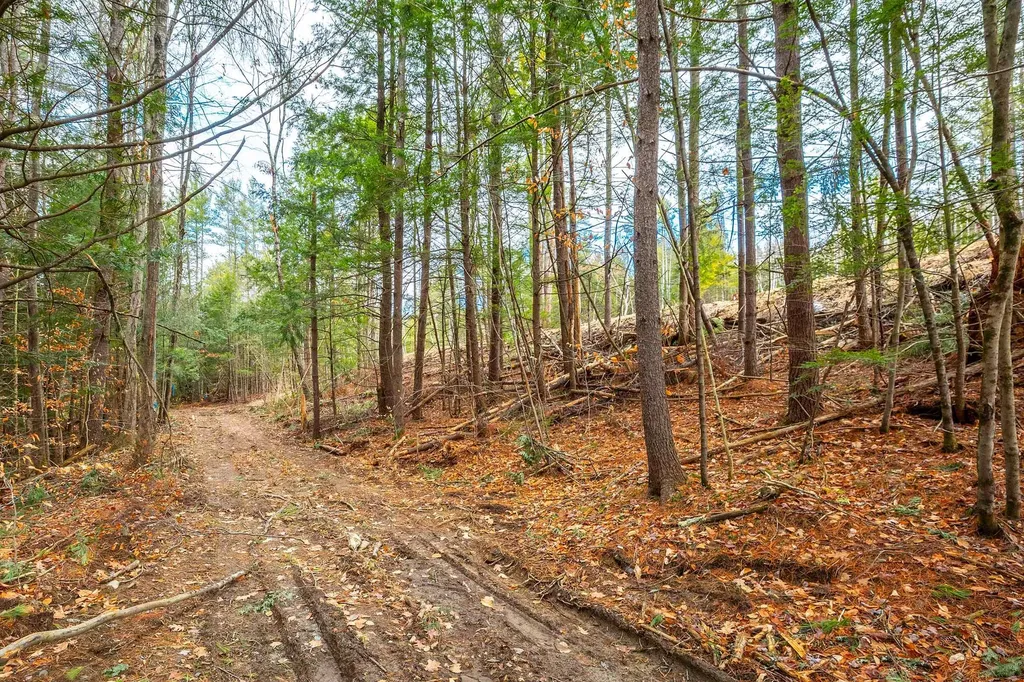 40 E Putney Brook Road Putney VT 05346