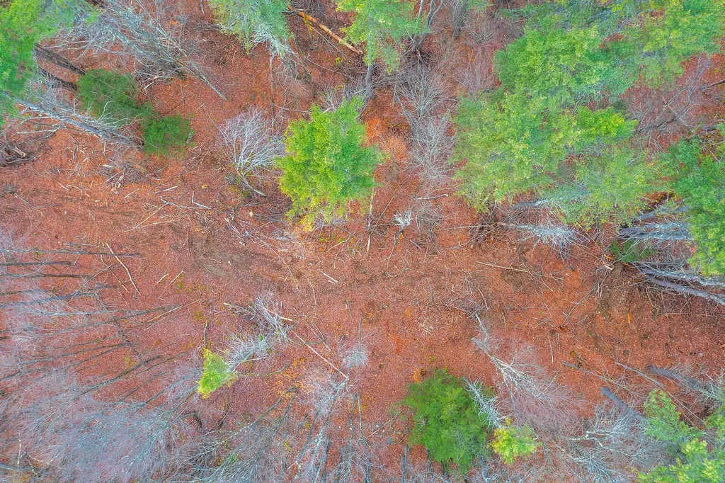 40 E Putney Brook Road Putney VT 05346