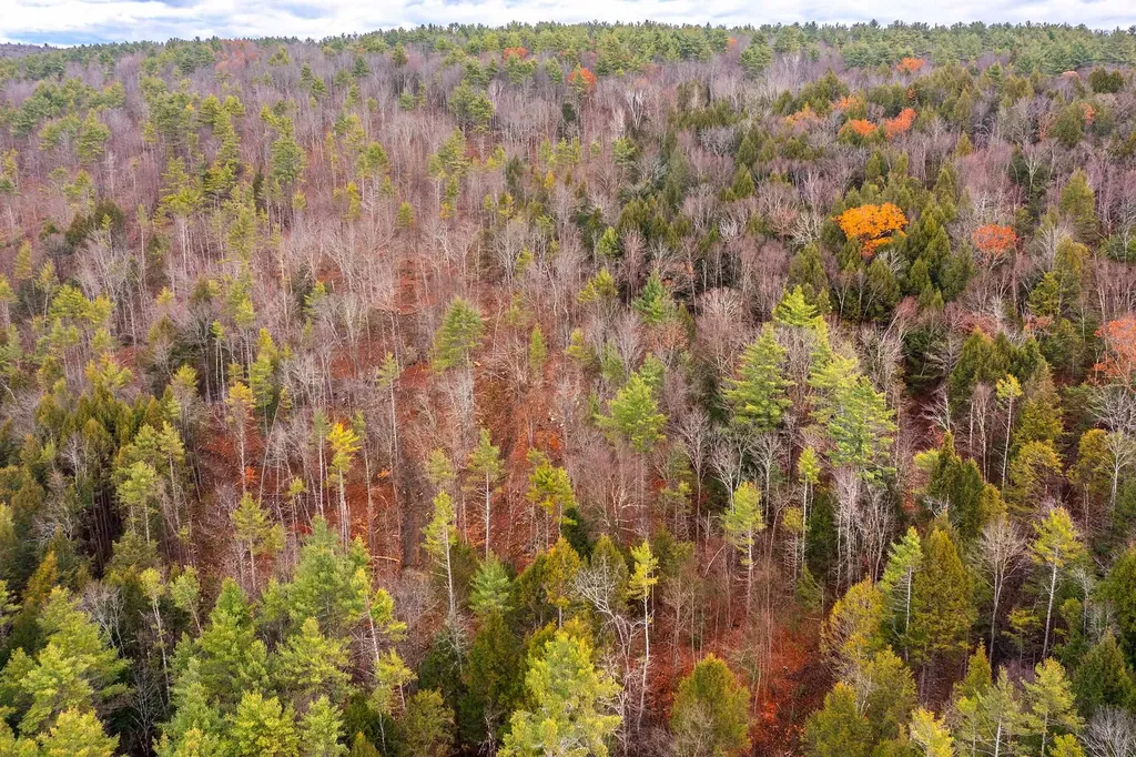 40 E Putney Brook Road Putney VT 05346