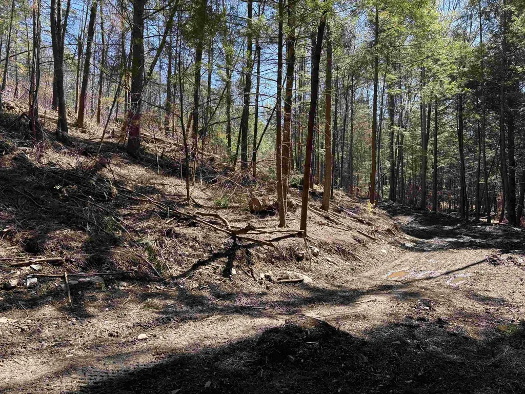 40 E Putney Brook Road Putney VT 05346