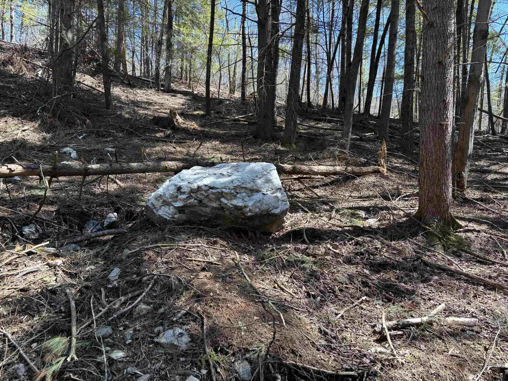 40 E Putney Brook Road Putney VT 05346