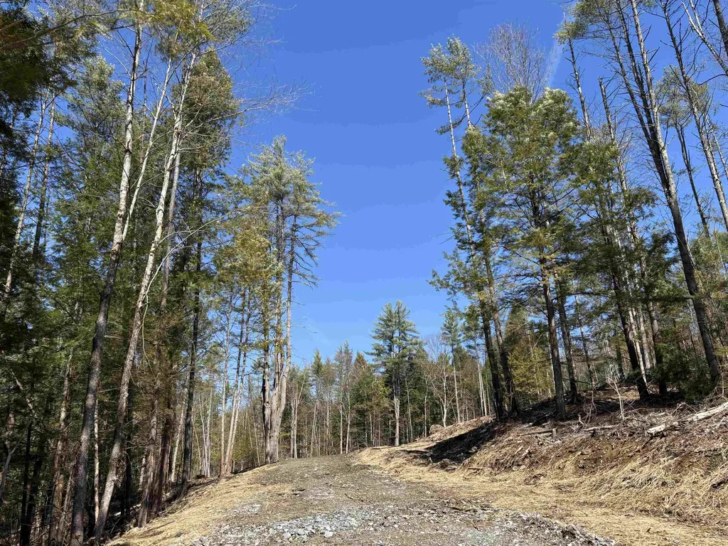 40 E Putney Brook Road Putney VT 05346