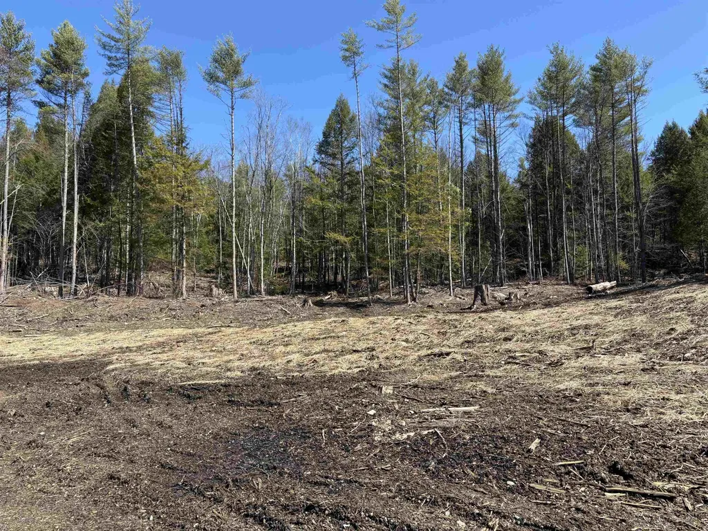 40 E Putney Brook Road Putney VT 05346