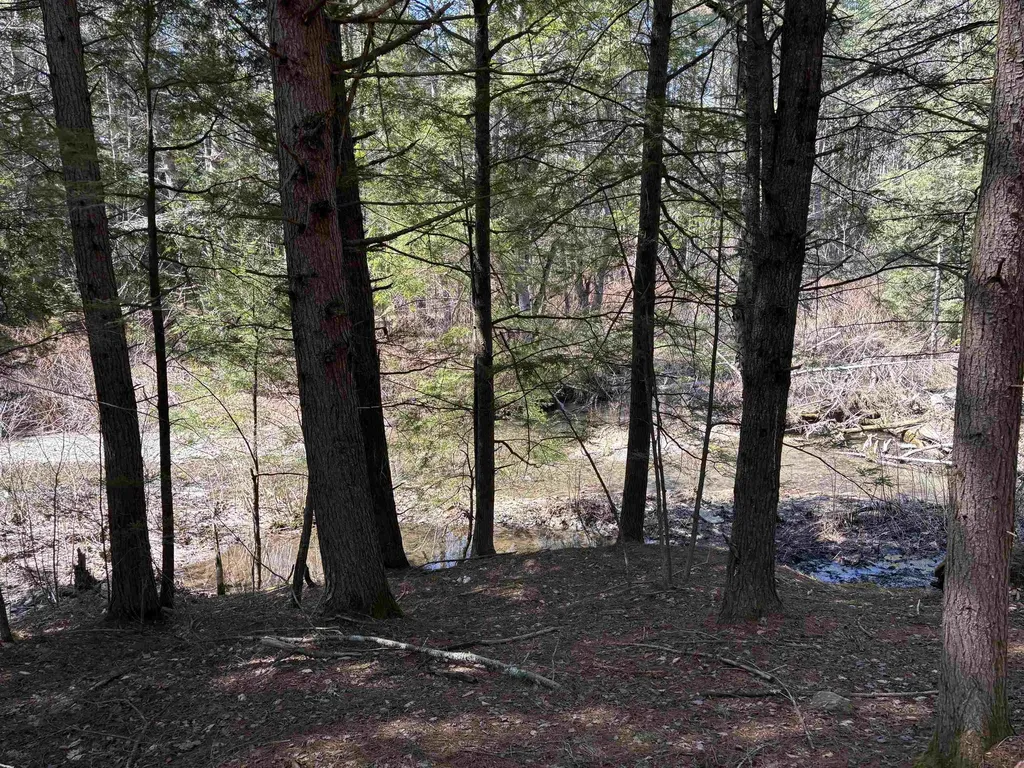 40 E Putney Brook Road Putney VT 05346