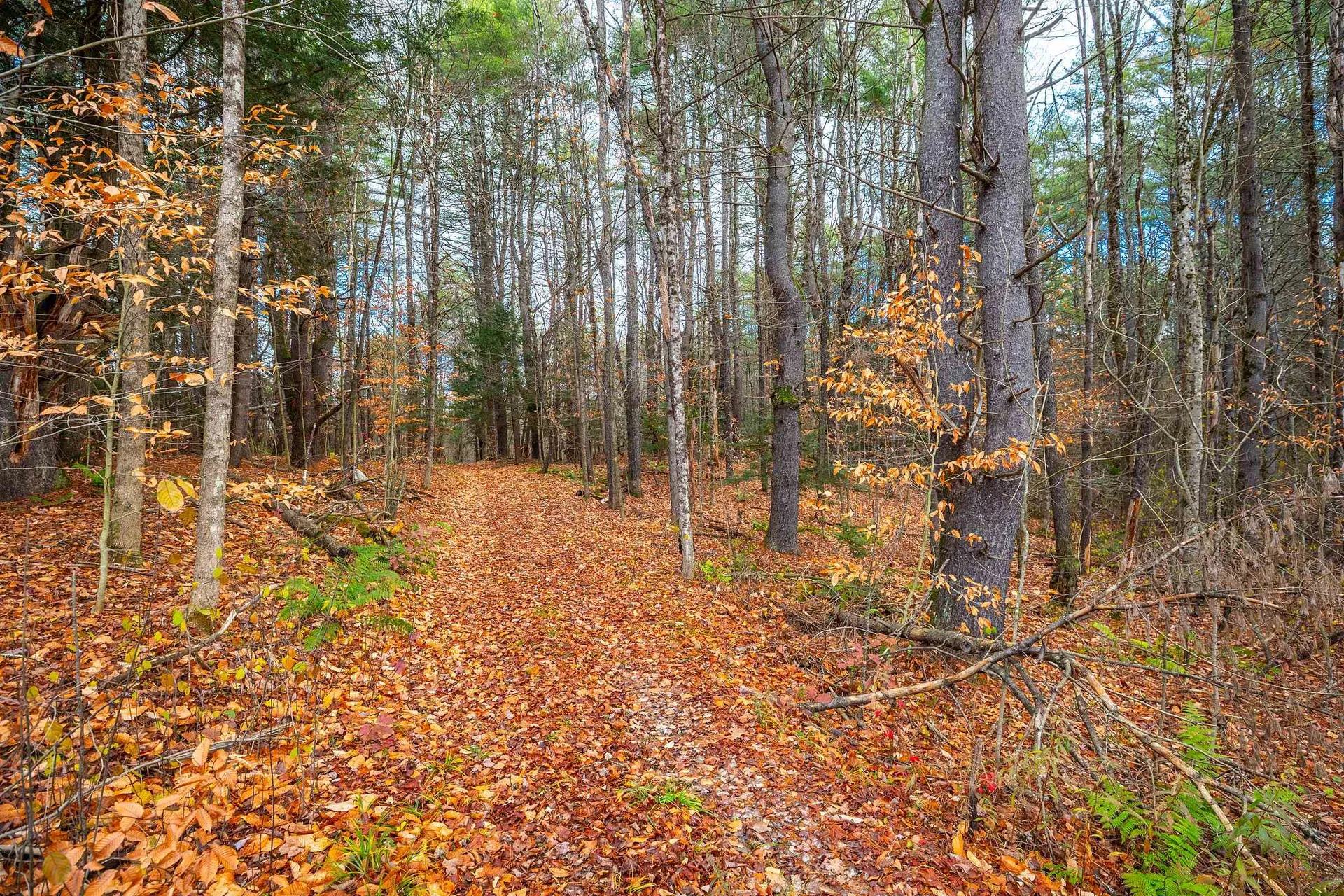 40 E Putney Brook Road Putney VT 05346