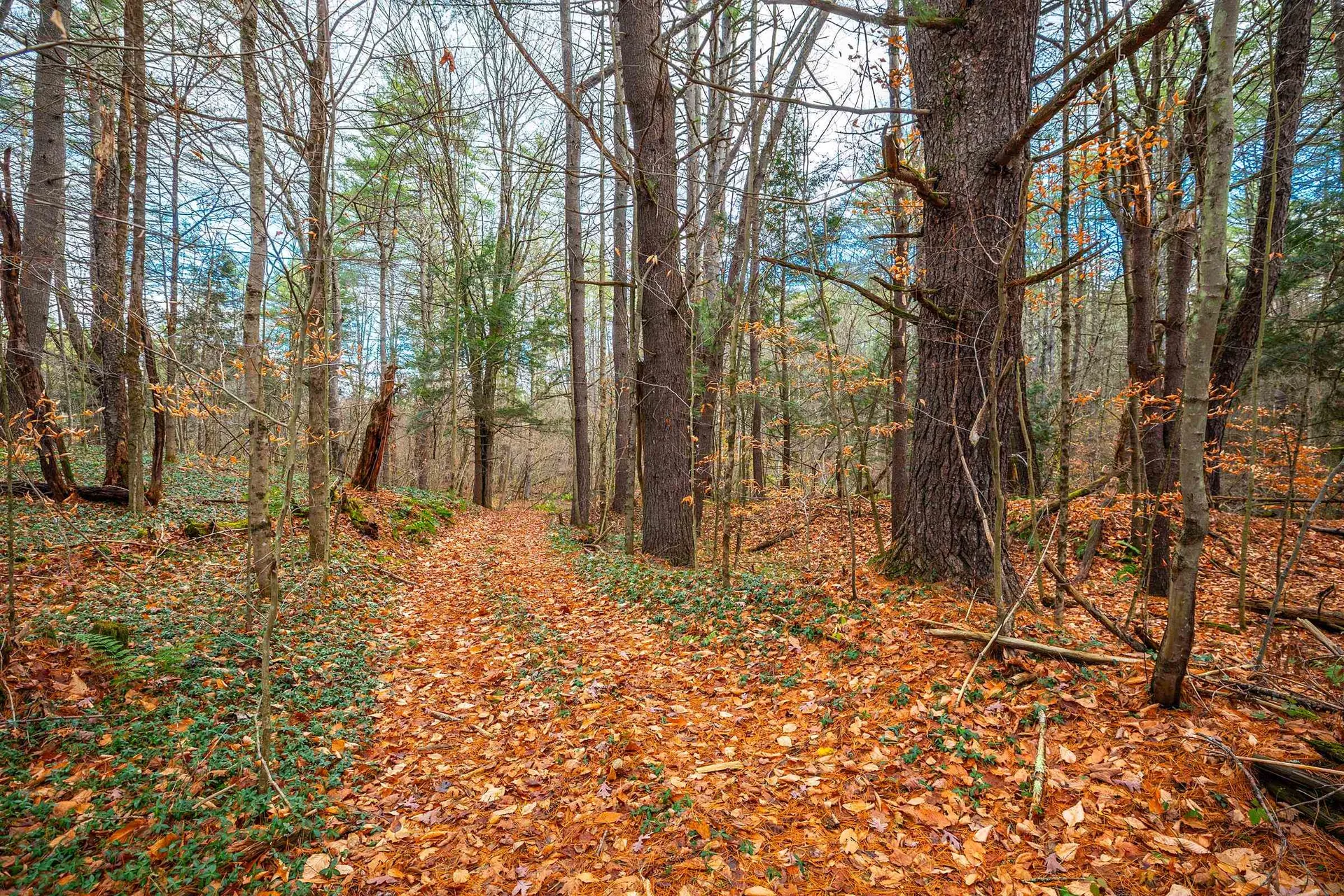 40 E Putney Brook Road Putney VT 05346