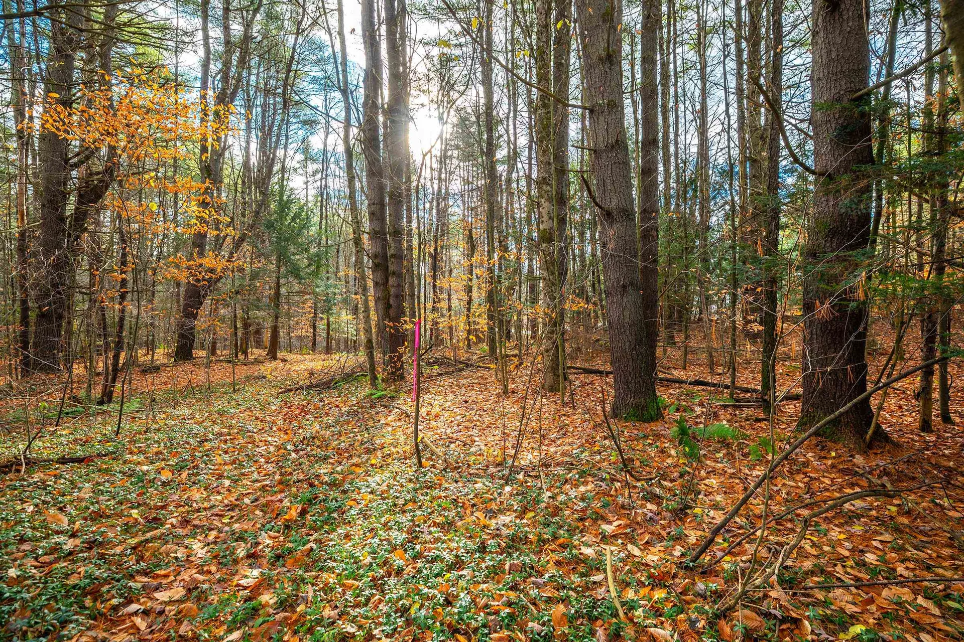 40 E Putney Brook Road Putney VT 05346