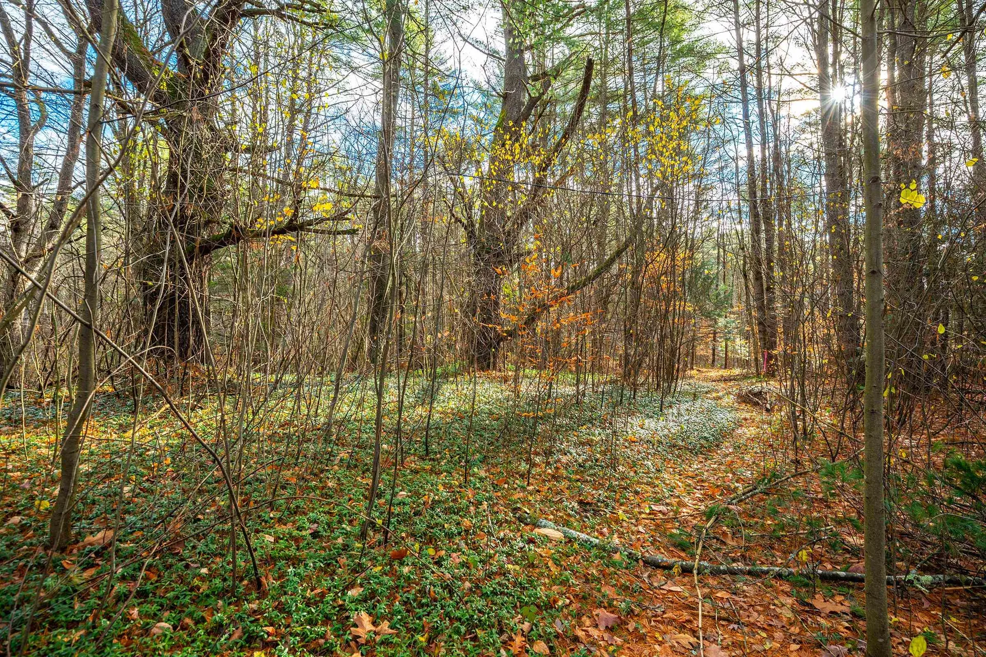 40 E Putney Brook Road Putney VT 05346