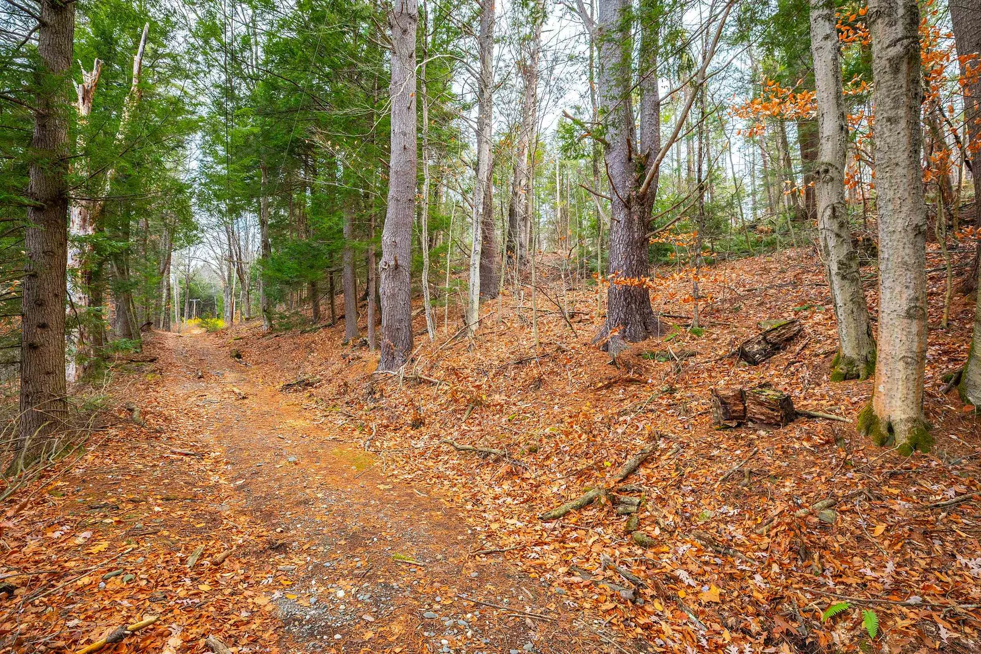 40 E Putney Brook Road Putney VT 05346