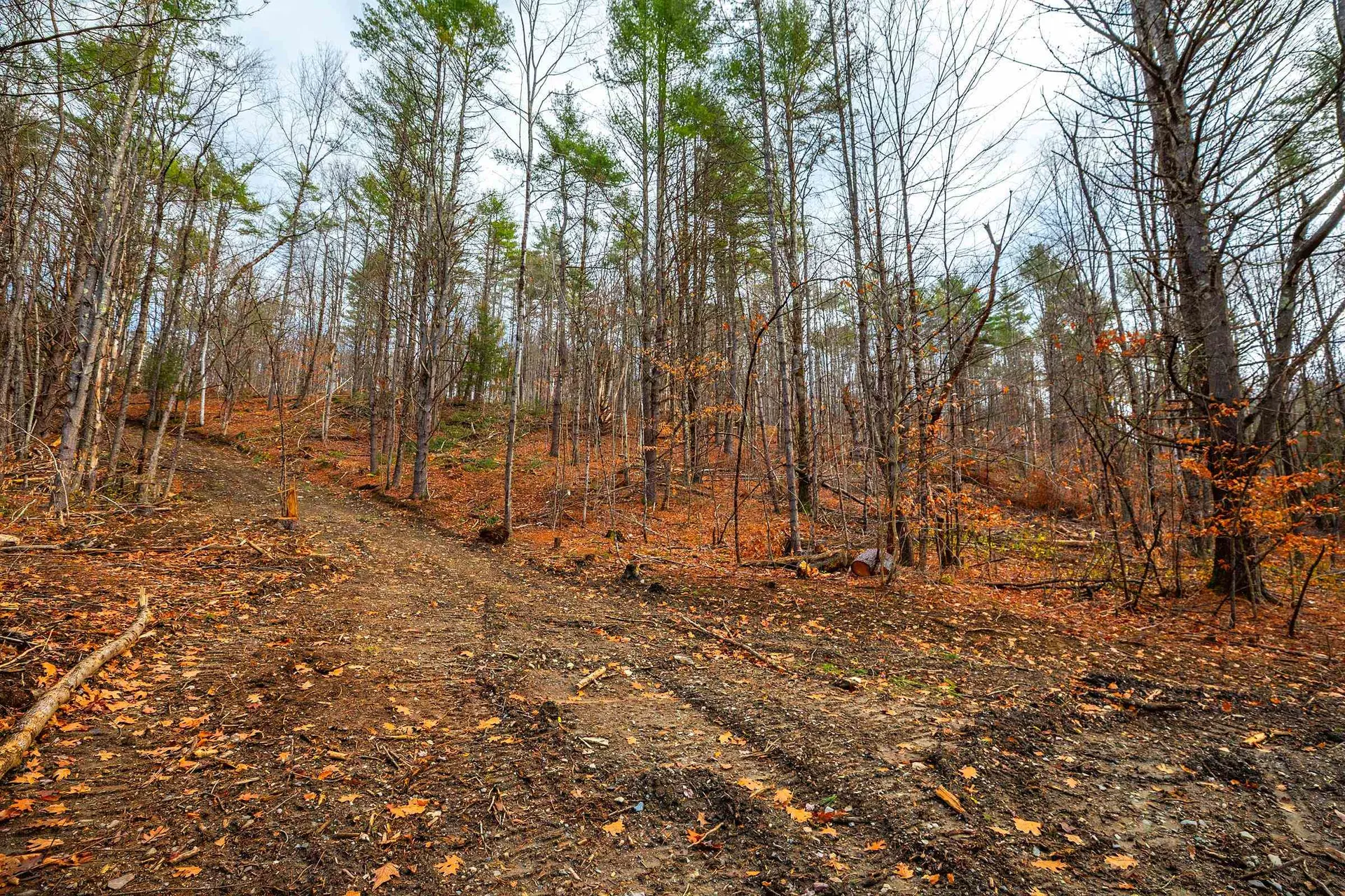 40 E Putney Brook Road Putney VT 05346