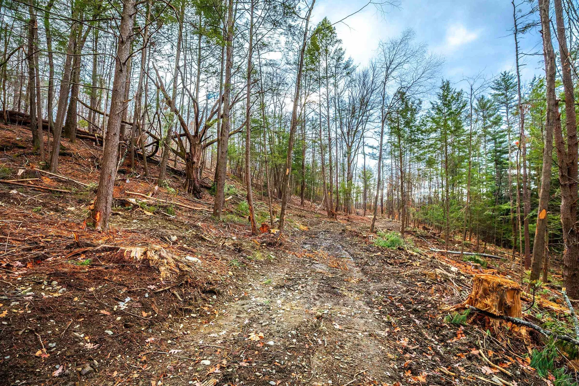 40 E Putney Brook Road Putney VT 05346