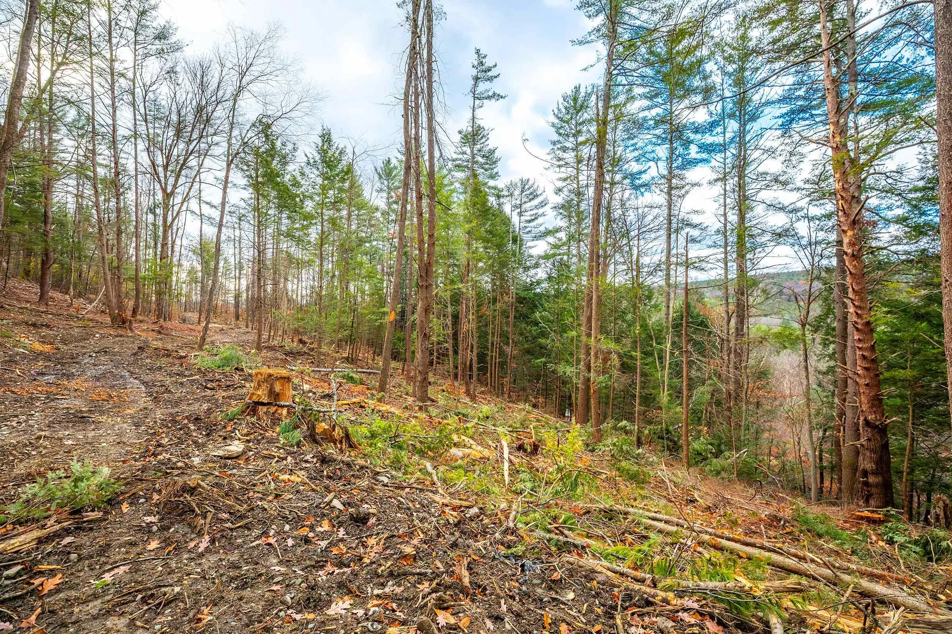 40 E Putney Brook Road Putney VT 05346