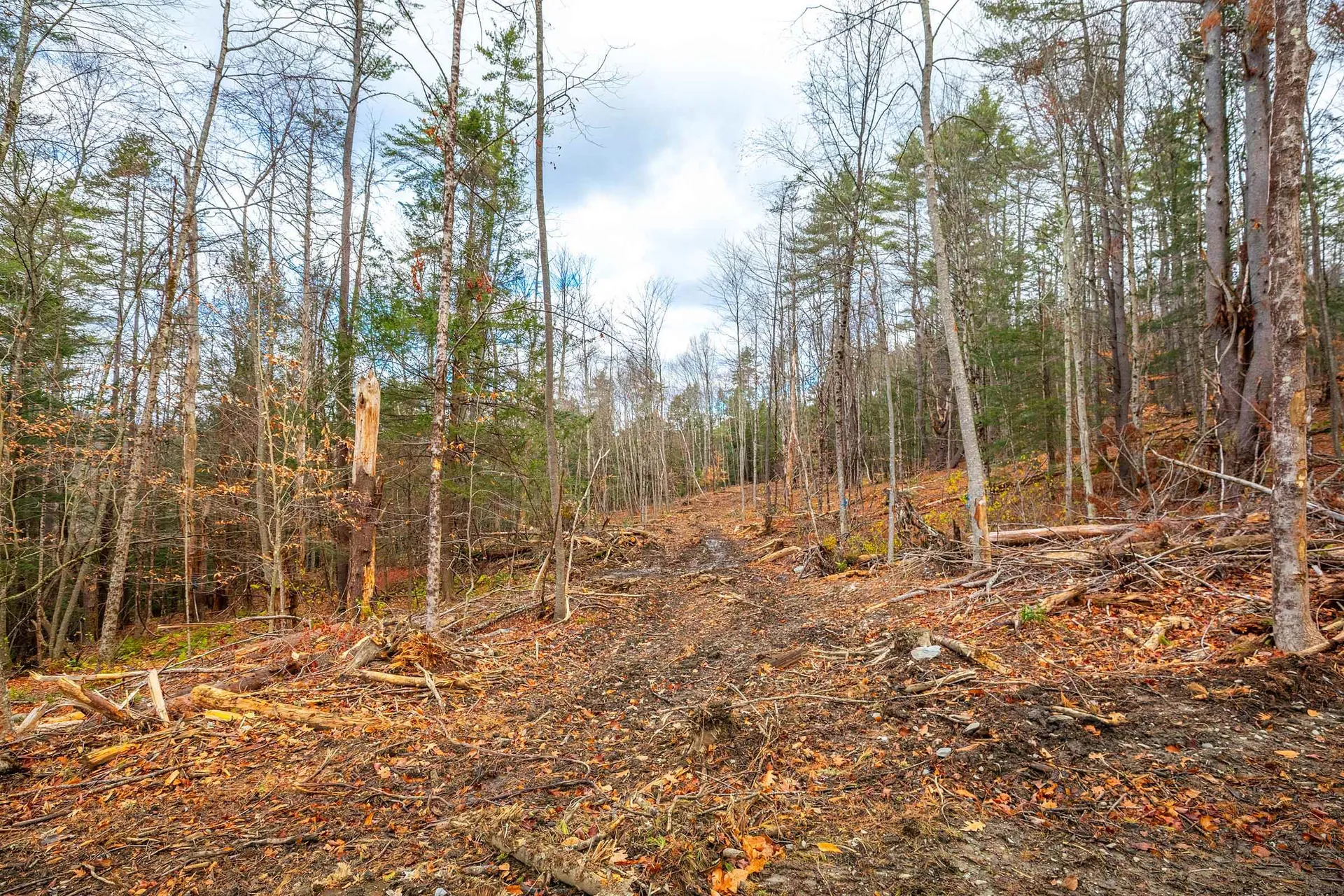 40 E Putney Brook Road Putney VT 05346