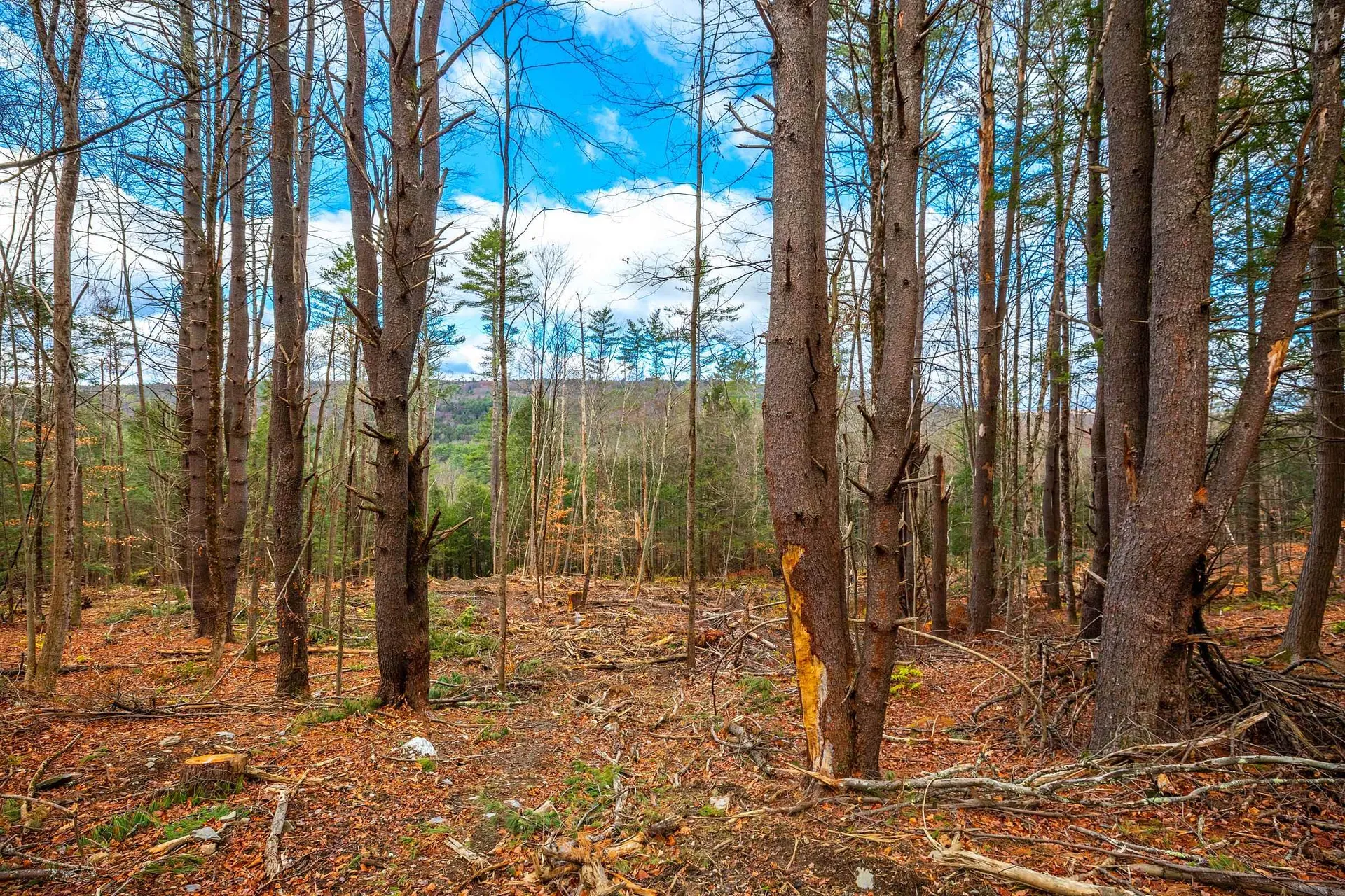 40 E Putney Brook Road Putney VT 05346