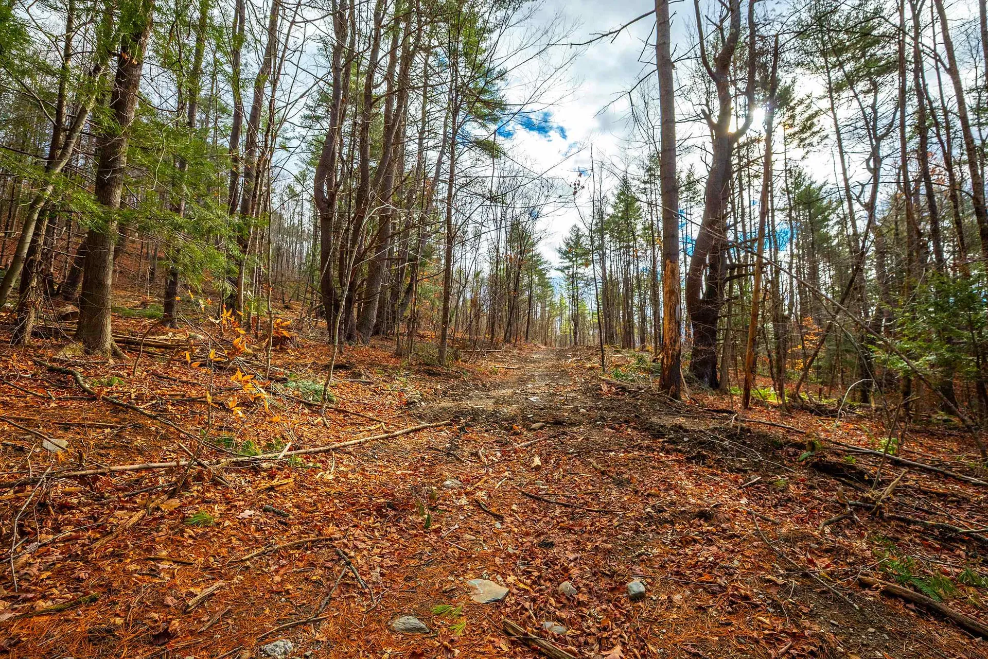 40 E Putney Brook Road Putney VT 05346