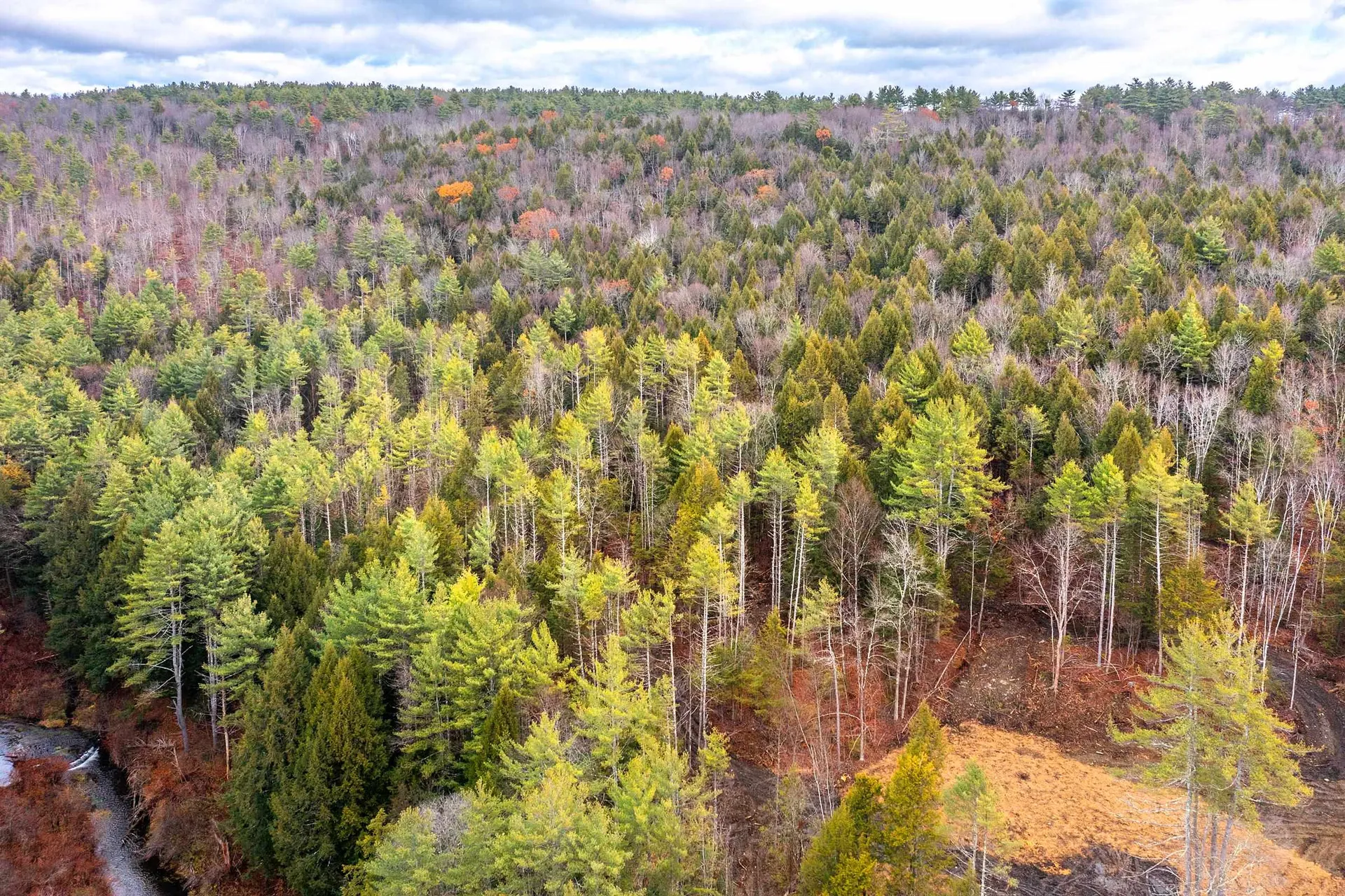 40 E Putney Brook Road Putney VT 05346