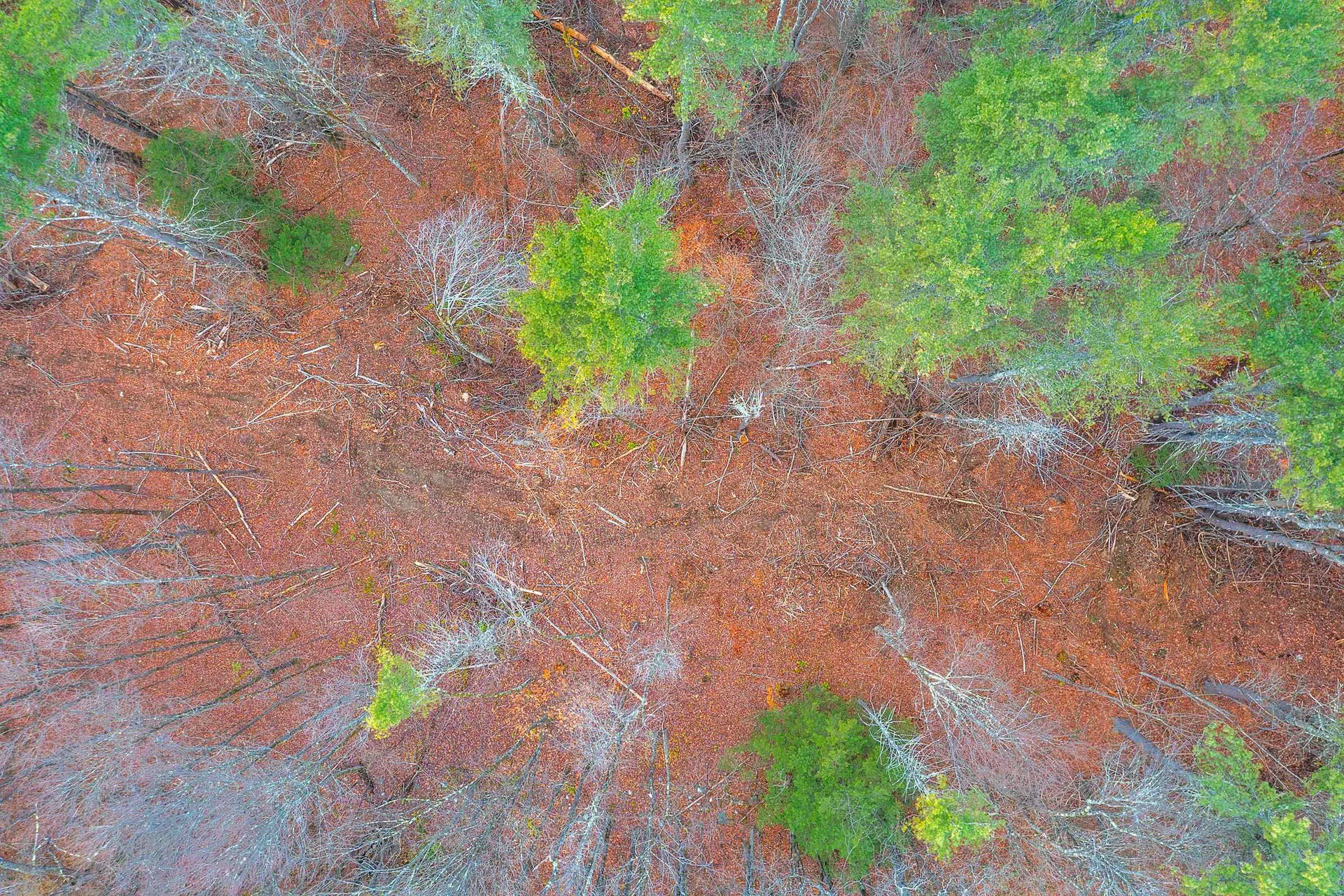 40 E Putney Brook Road Putney VT 05346