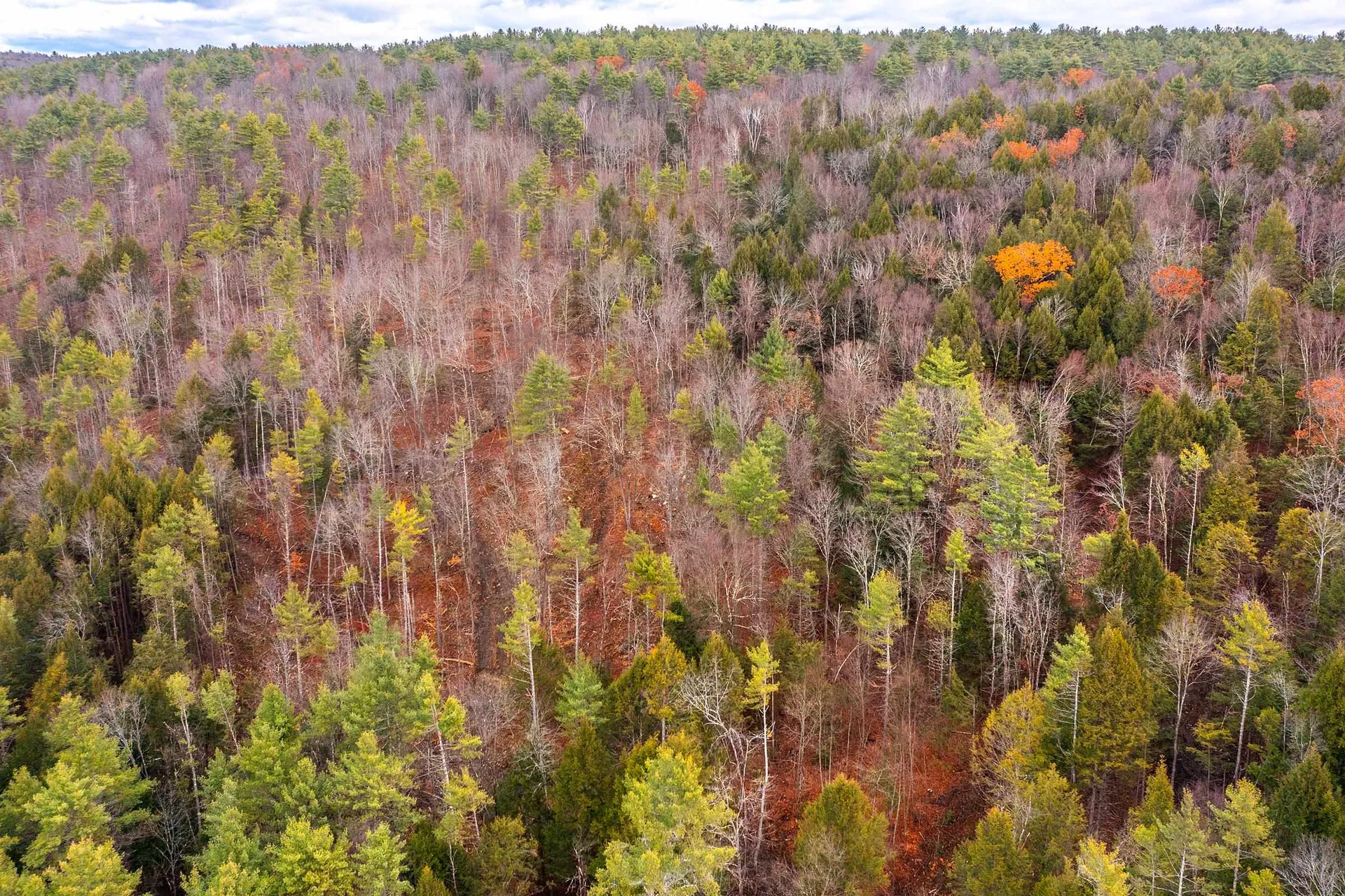 40 E Putney Brook Road Putney VT 05346