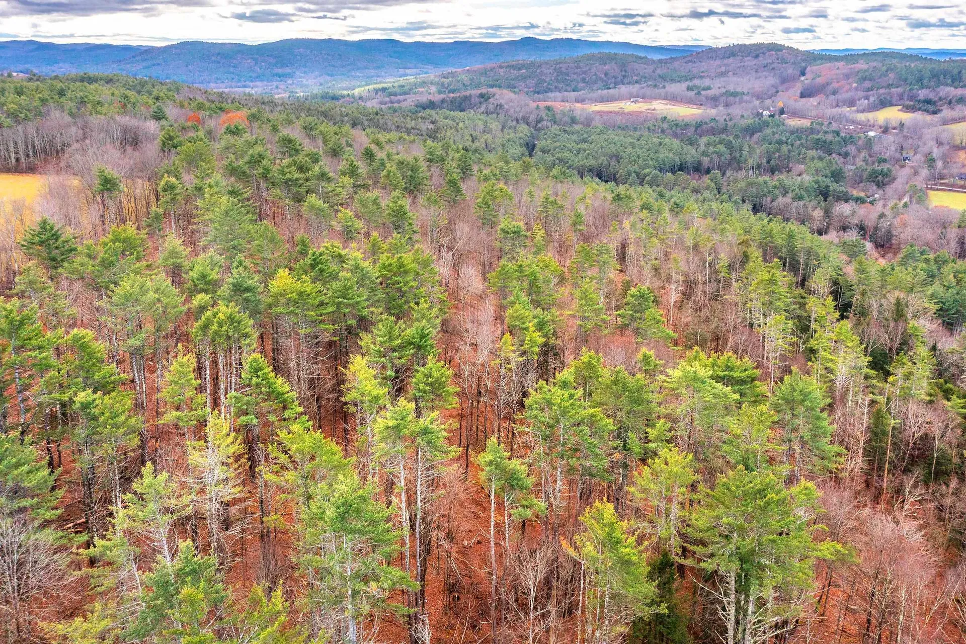 40 E Putney Brook Road Putney VT 05346