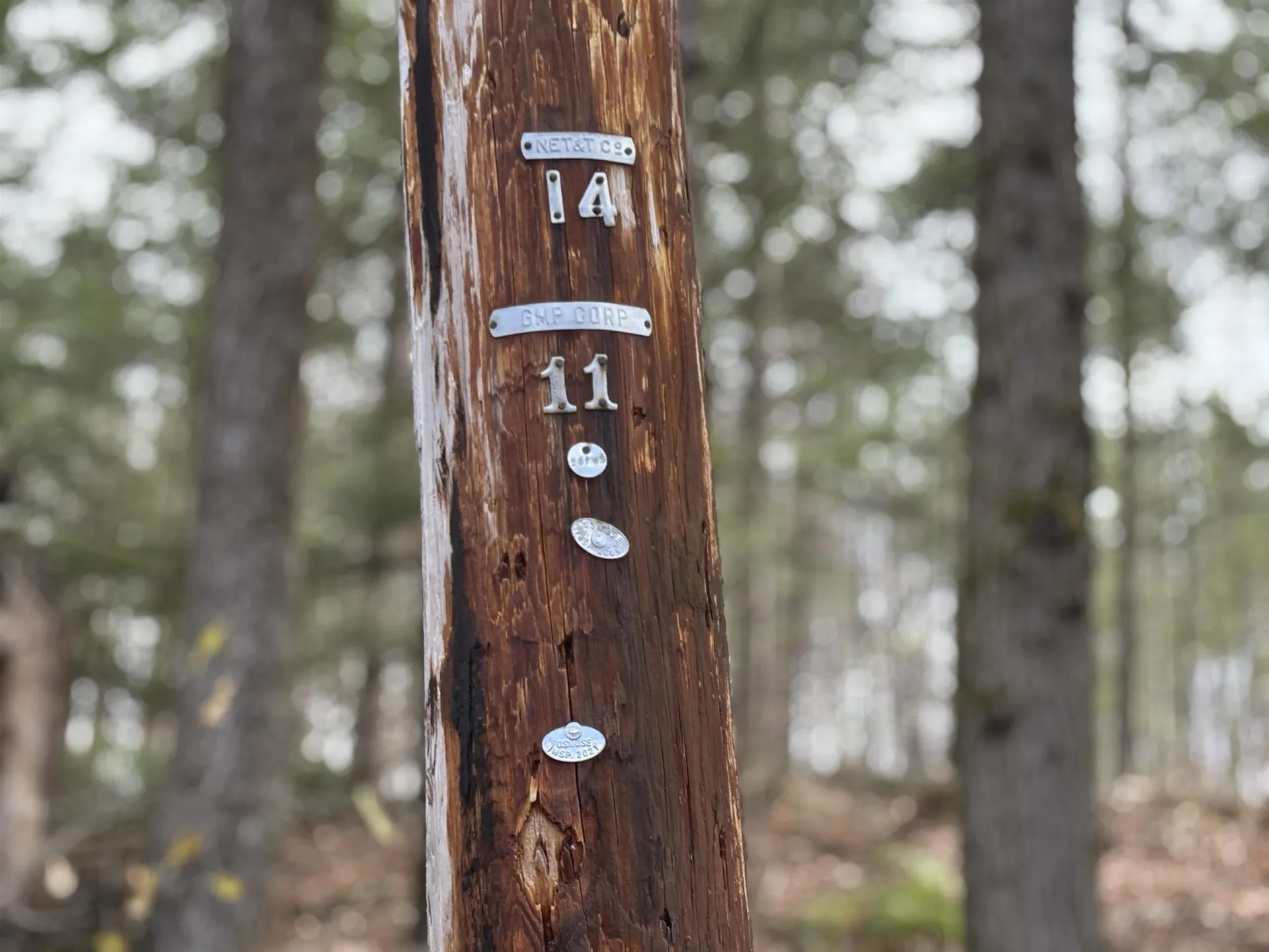 40 E Putney Brook Road Putney VT 05346