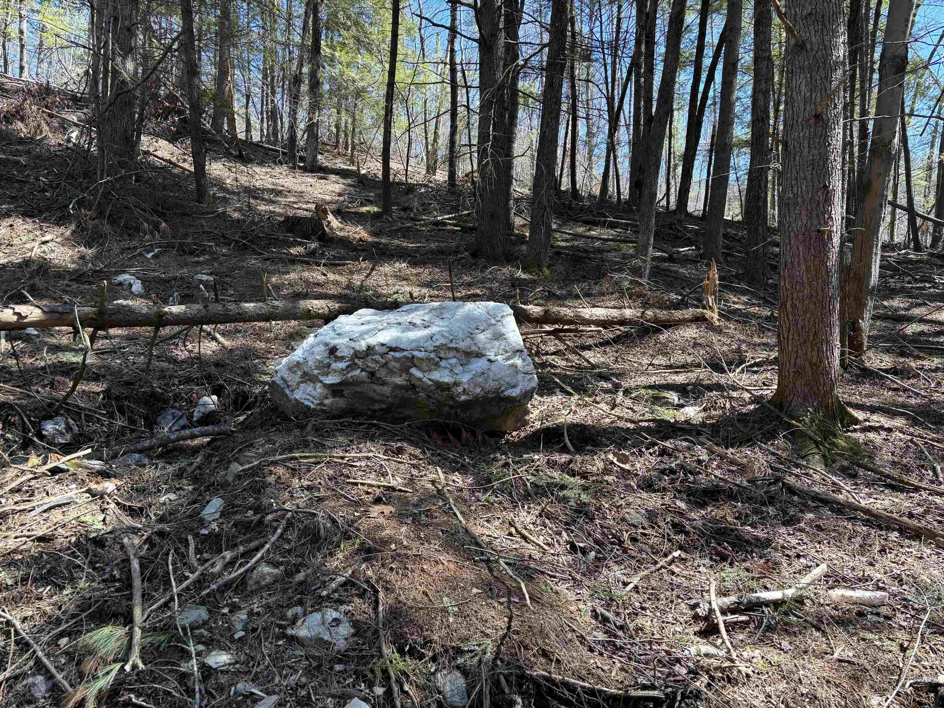 40 E Putney Brook Road Putney VT 05346