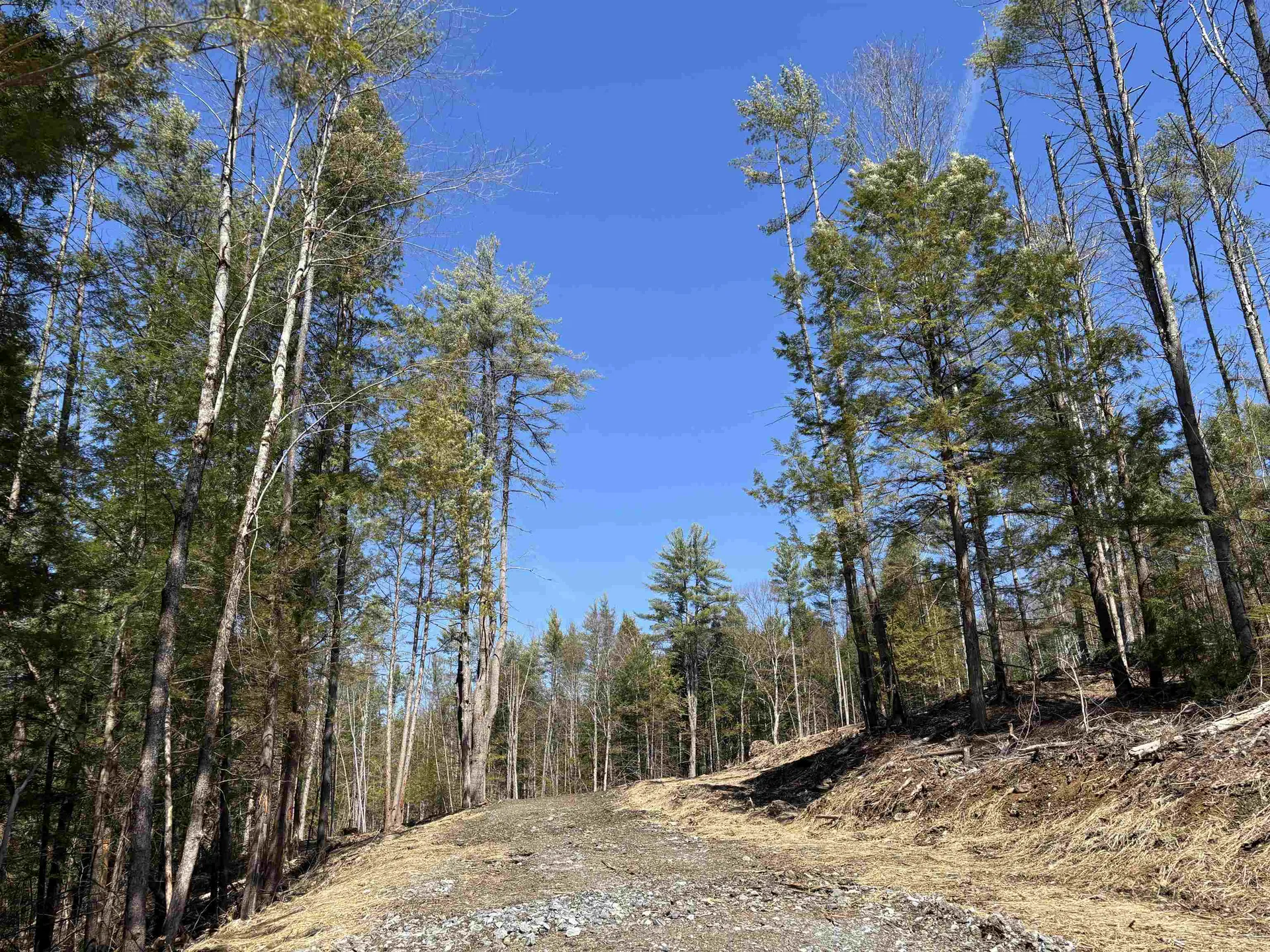 40 E Putney Brook Road Putney VT 05346