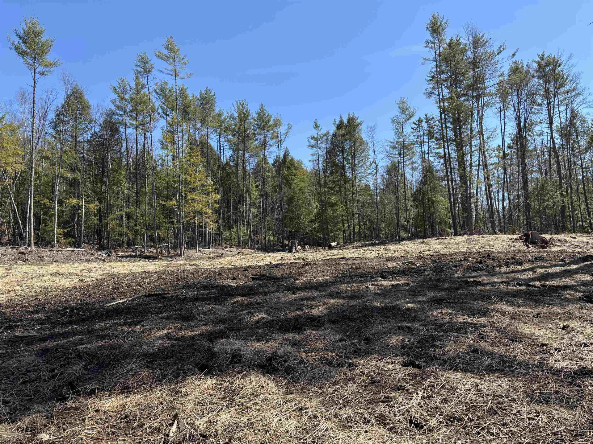 40 E Putney Brook Road Putney VT 05346