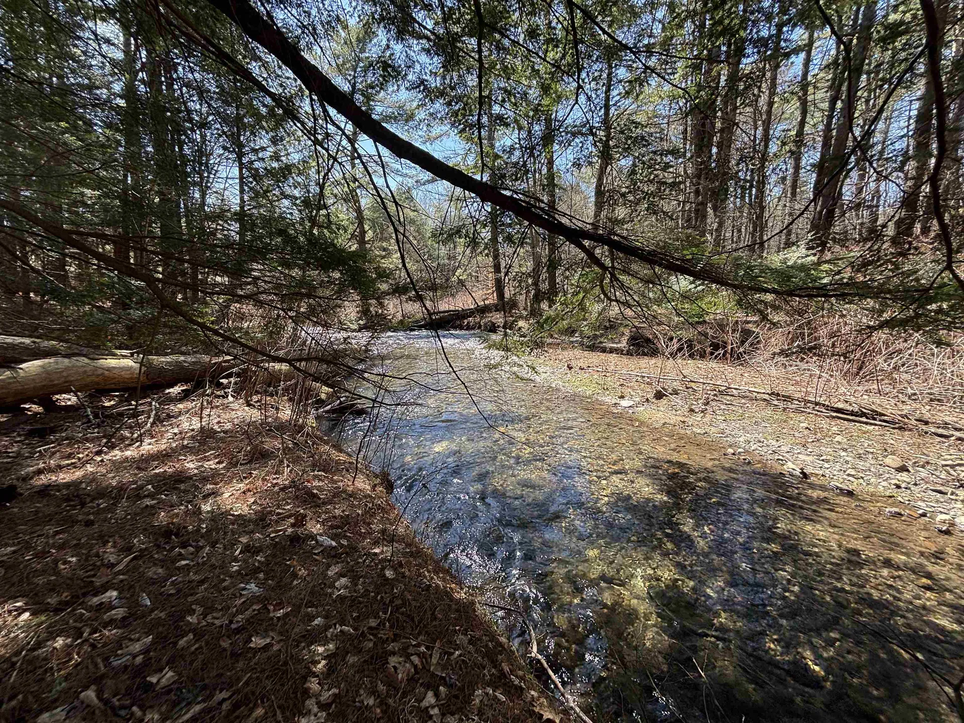 40 E Putney Brook Road Putney VT 05346