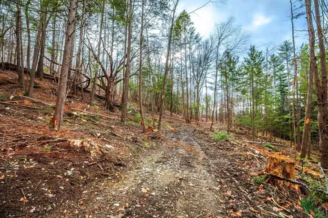 40 E Putney Brook Road Putney VT 05346