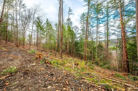 40 E Putney Brook Road Putney VT 05346