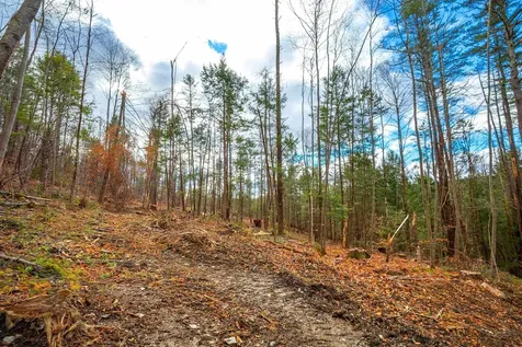 40 E Putney Brook Road Putney VT 05346