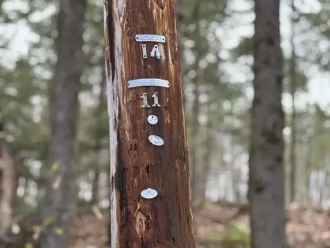 40 E Putney Brook Road Putney VT 05346