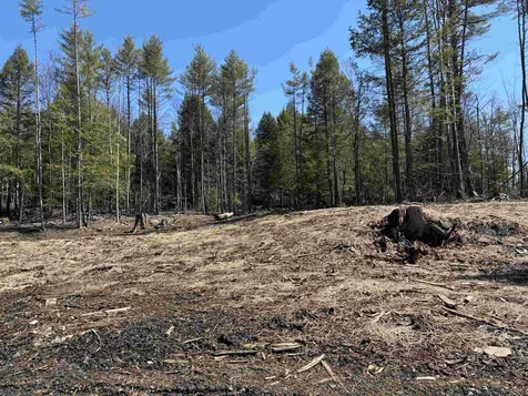 40 E Putney Brook Road Putney VT 05346