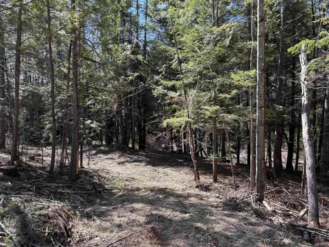 40 E Putney Brook Road Putney VT 05346