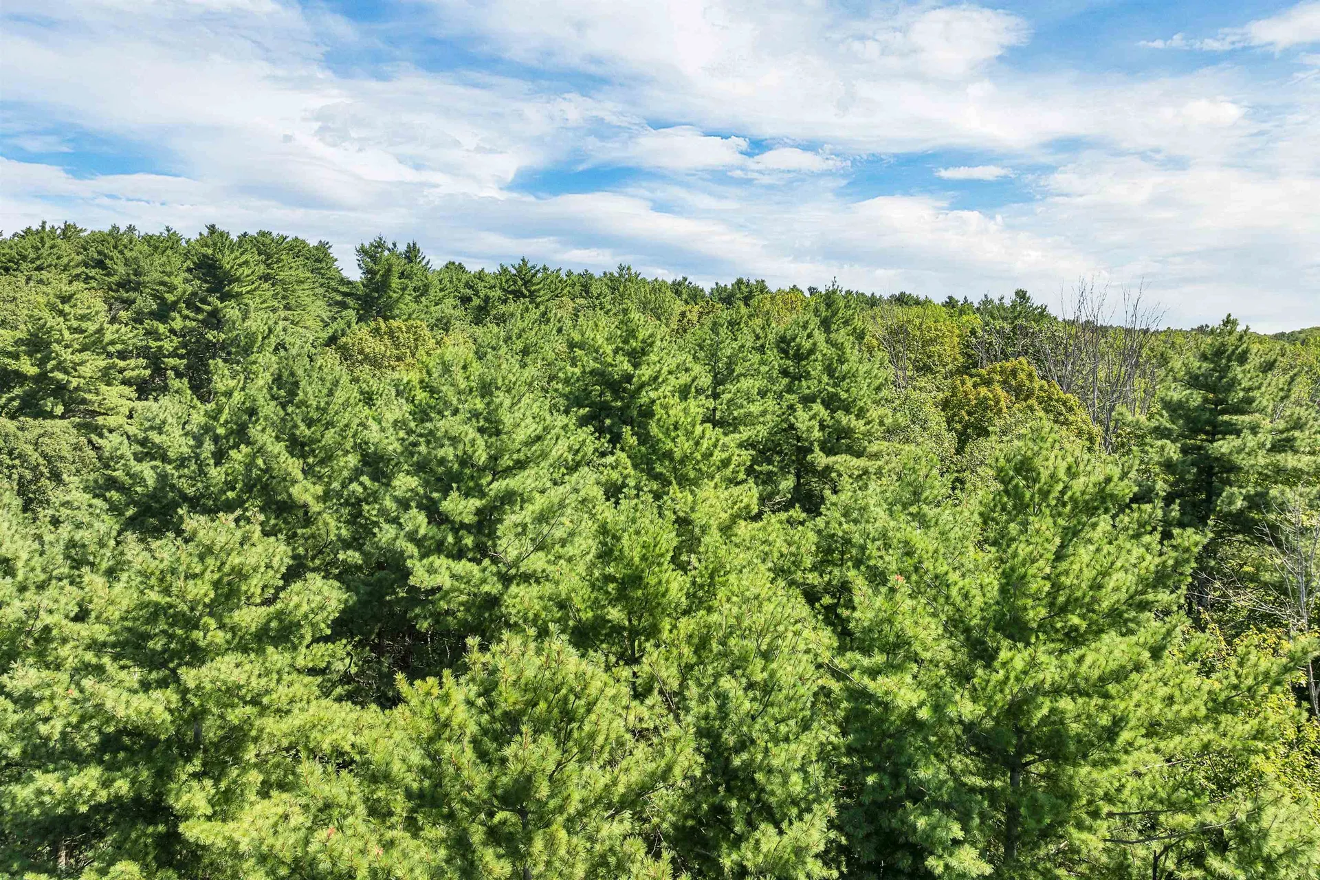 0 Bay Hill Road Alton NH 03809