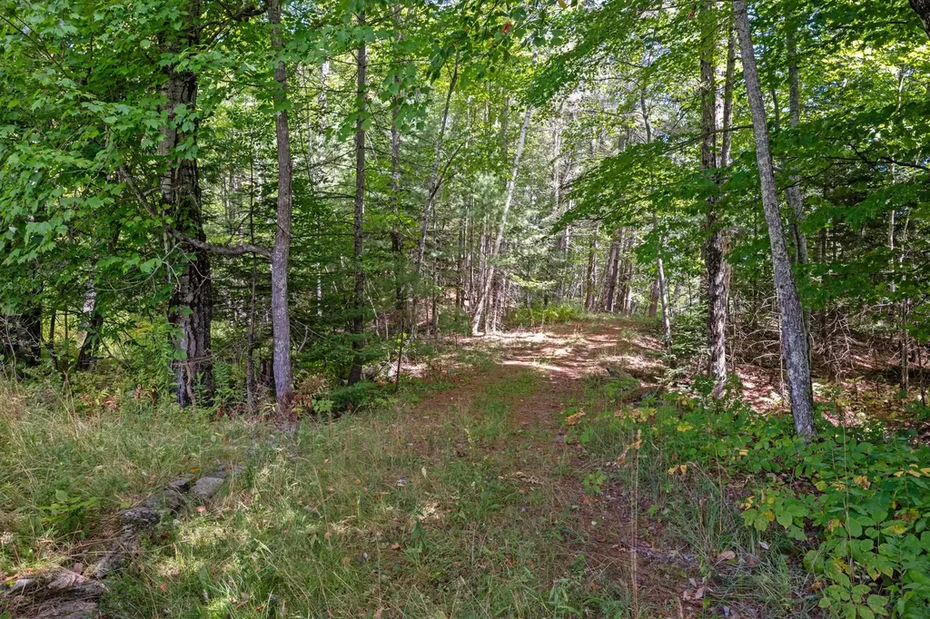 125 Clough Hill Road Lyman NH 03585