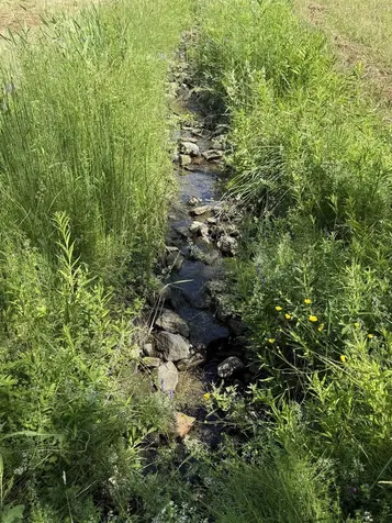 - Macintosh Lane Derby VT 05829